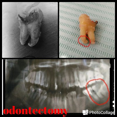 dentist