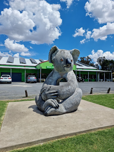 The Big Koala