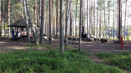 RMK Mustjärve lõkkekoht