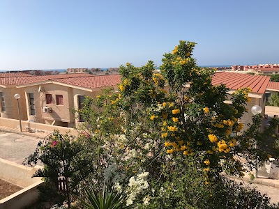 Photos of Cairo University Resort