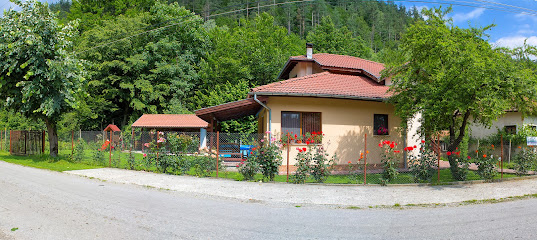 ВИЛА АЛПИНА