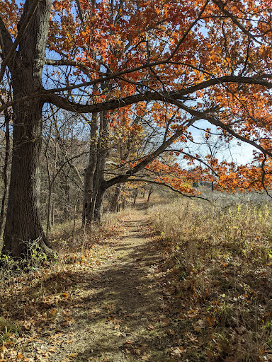 Bonnie View Nature Sanctuary - Thumbnail