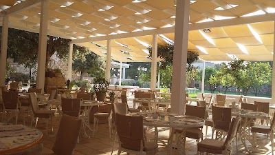 Photos of Tenuta Moreno