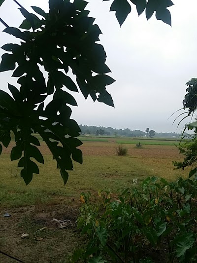 Photos of Chitra Resort