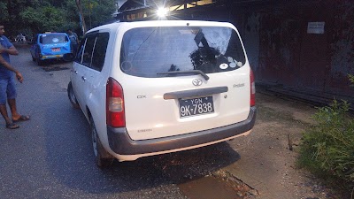 Photos of The DOG