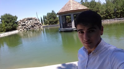 Photos of Xemse Kompleksi