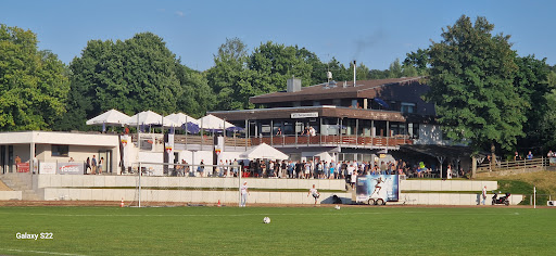 VfB Reichenbach - Visual