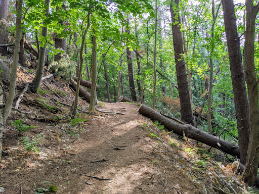 Boroughs Loop Trail - Visual
