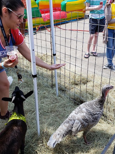 Petting Barn - Fort Worth Zoo