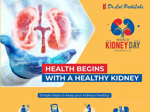 BOOK YOUR KIDNEY PROFILE TODAY.