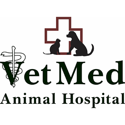 Vet Med Animal Hospital: Tate Scott DVM