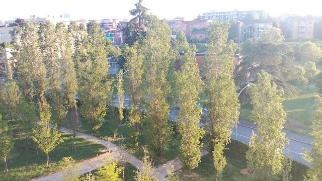 Camplus Living Bologna