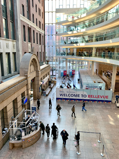 NYC Health + Hospitals / Bellevue. - Thumbnail
