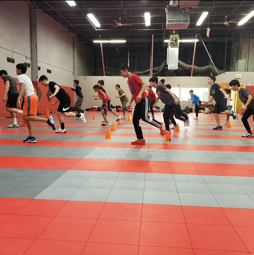 Premier Fencing Club - Thumbnail