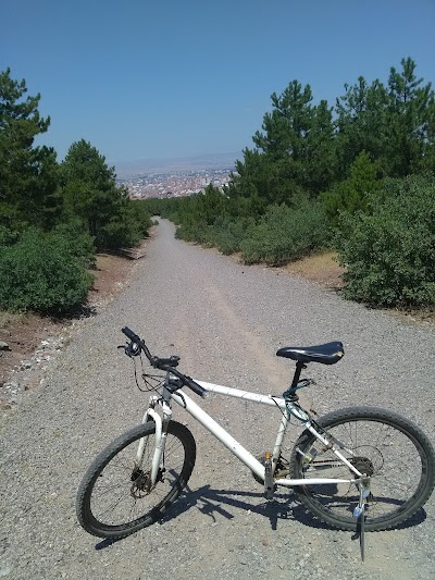 Eskişehir Urban Forest