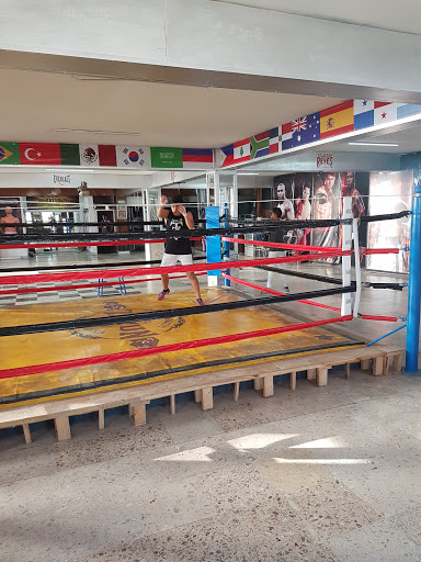 Academia De Boxeo Zayun Gallery - Mexico