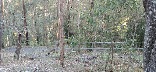 Carole Green Walkway Gallery - Australia
