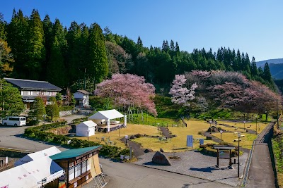 Photos of 臥龍桜