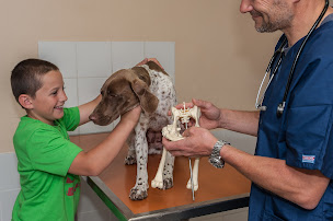 Photo n°25 de Clinique vétérinaire des lavandes à La Bégude-de-Mazenc (Clinique vétérinaire)