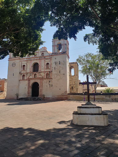 Solongo - Visual