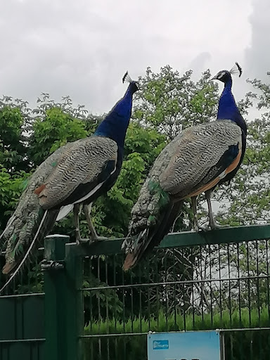 Bioland-Meedehof, Hof Upende - Thumbnail