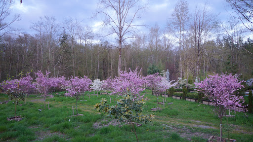 Chan Nguyen Monastery - Thumbnail