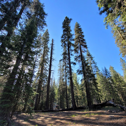 Stony Creek Campground - Thumbnail