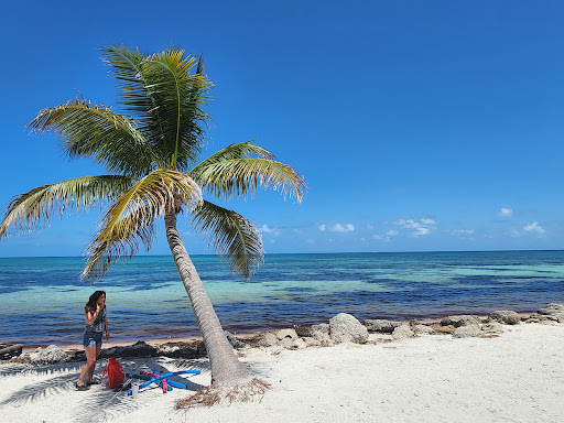 Islamorada - Visual