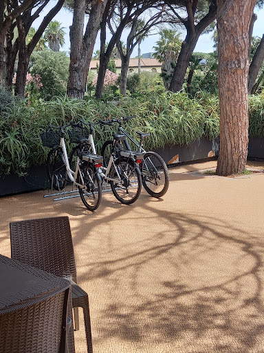 Ichnusa Rent Gallery - Italy