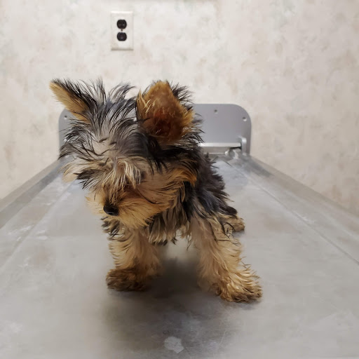 Ross Hospital for Animals