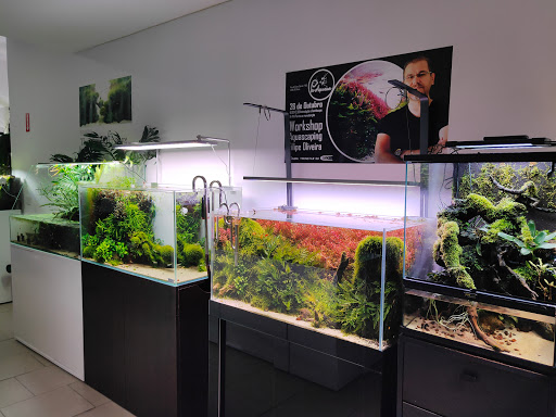 Pro-Aquarium - Thumbnail