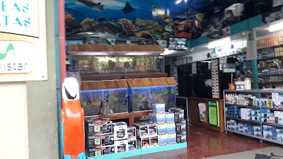Photos of Acuario Atlantis