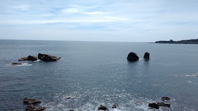 Photos of Los ColmilloS De Chaihuin