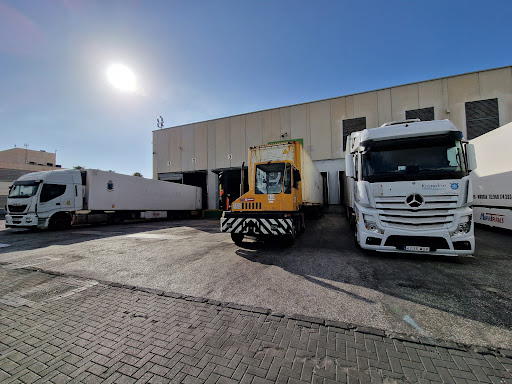 JSV Logistic - Visual