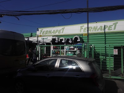 Photos of Fernapet