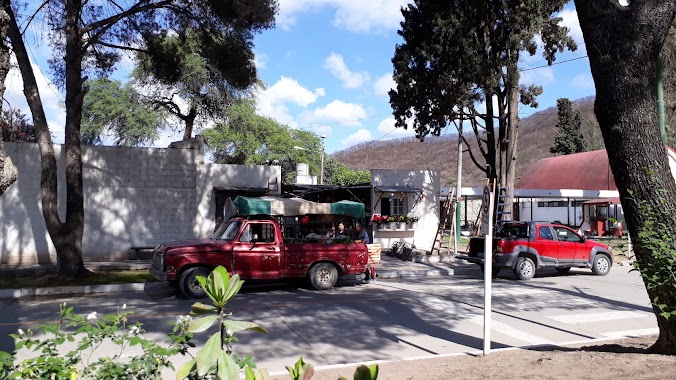 Cementerio San Antonio De Padua, Author: Francisco José Flores