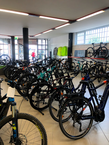 Patrick Bike - Visual