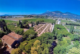 Photo n°3 de Le Petit Réal Camping & Gites Ruraux à Solliès-Pont (Terrain de camping)