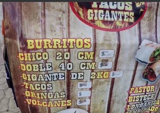 Burrito Kawaii Gallery - Mexico