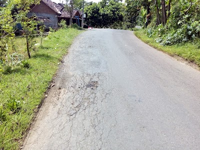 Photos of Hutan Pinus Pengger