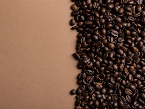 The Second Home by null