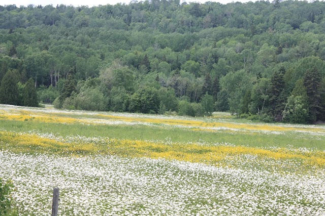 La Malbaie