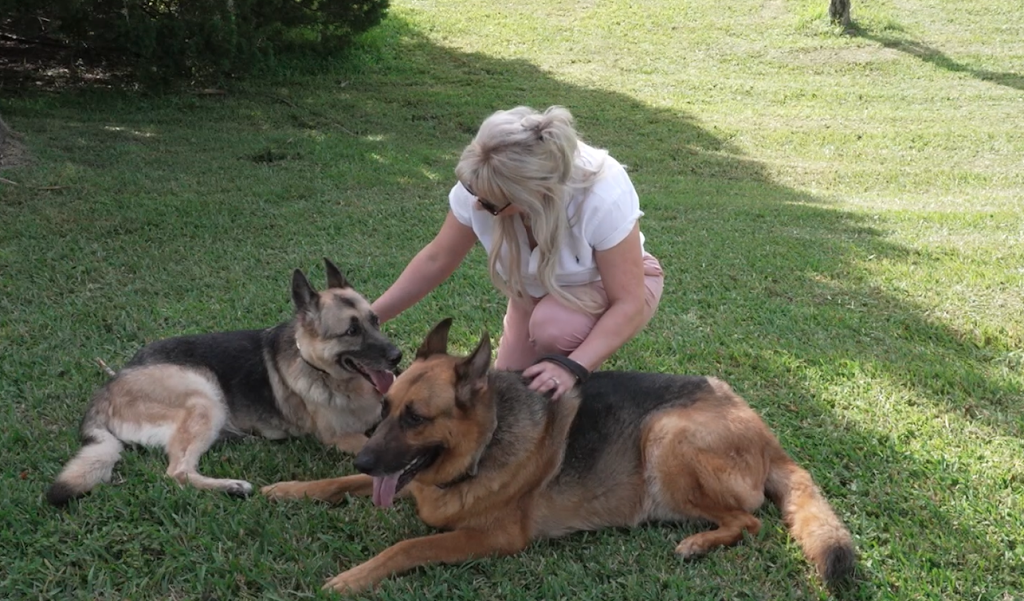 The Law Offices Of Carolina Nunez P A