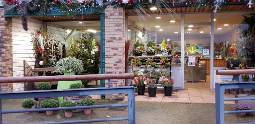 Euroflor