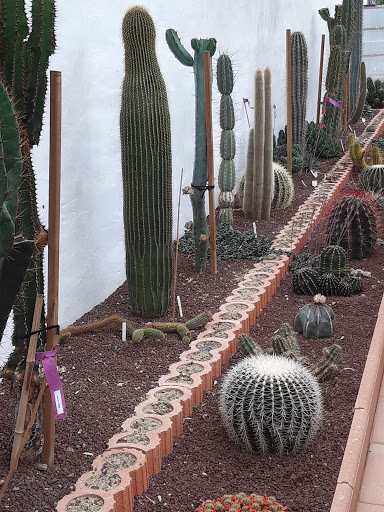Landare Exotikoen Lorategia /plantes exotiques Garden Gallery - France