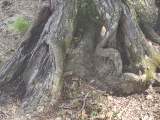 Malvern City Park - Thumbnail