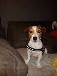 Photo n°17 de Clinique Vétérinaire des Étangs à Clairoix (Clinique vétérinaire)