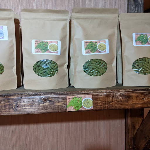 Mormormoringa LLC - Visual