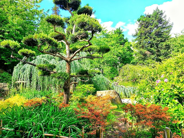 Jardin japonais de l'Île de Versailles