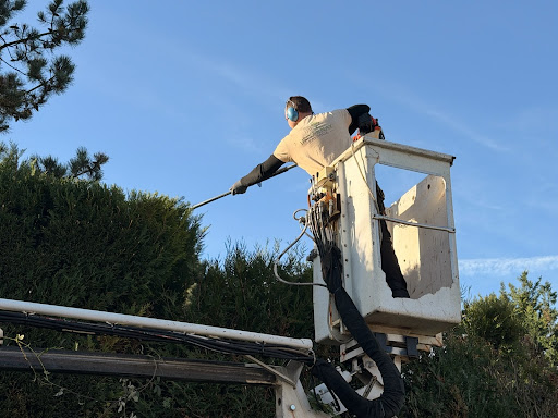 🌼 Entretien & Création de Jardin 🍀 Duvernay Paysage s’occupe de tout !